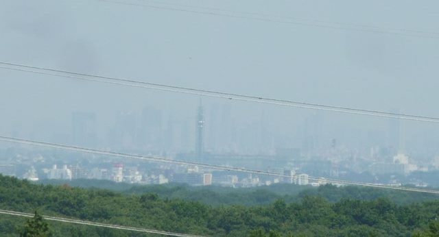 イメージ 8