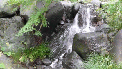 日本庭園 和紙の里