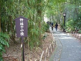 イメージ 6