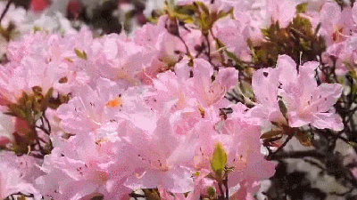 イメージ 14