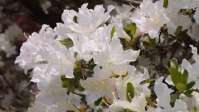イメージ 13