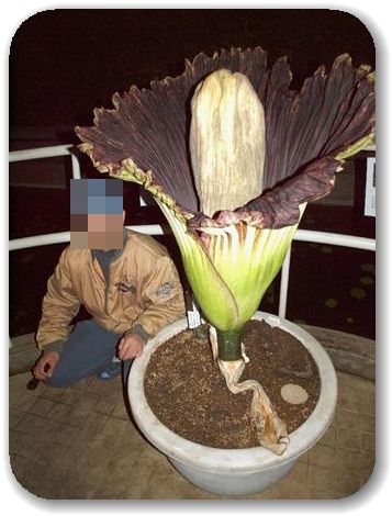 イメージ 9