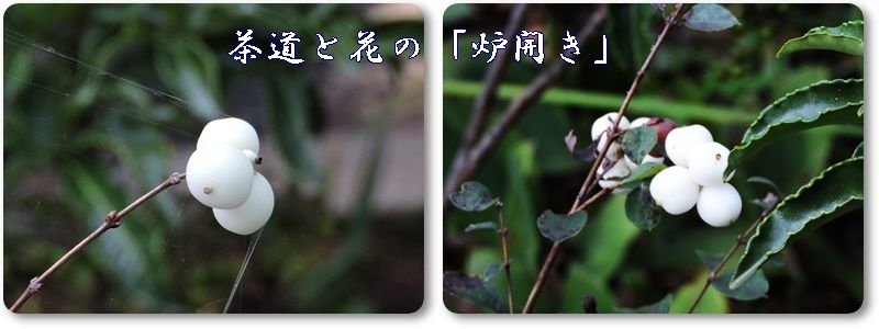 イメージ 14