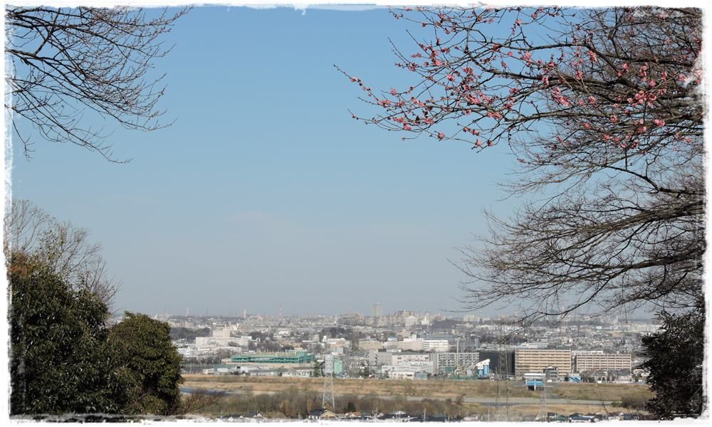 イメージ 10