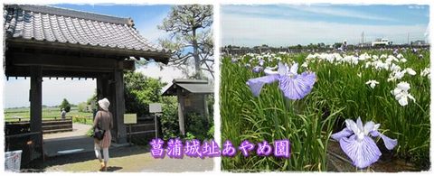 イメージ 1