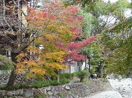 イメージ 9