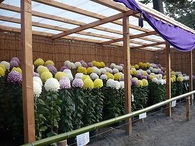 イメージ 7