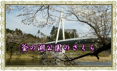 イメージ 8