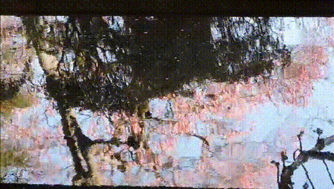 イメージ 9