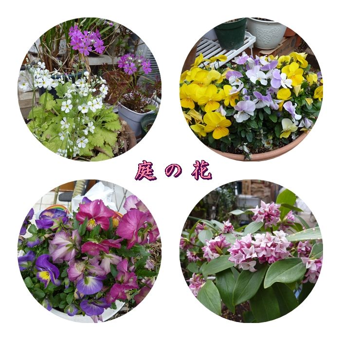 イメージ 3