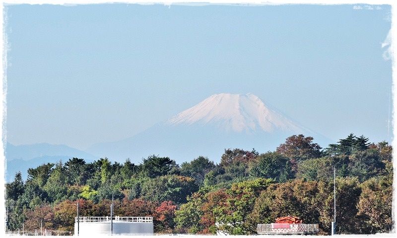 イメージ 9