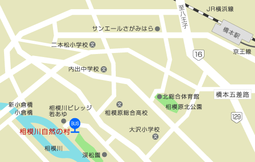 イメージ 5