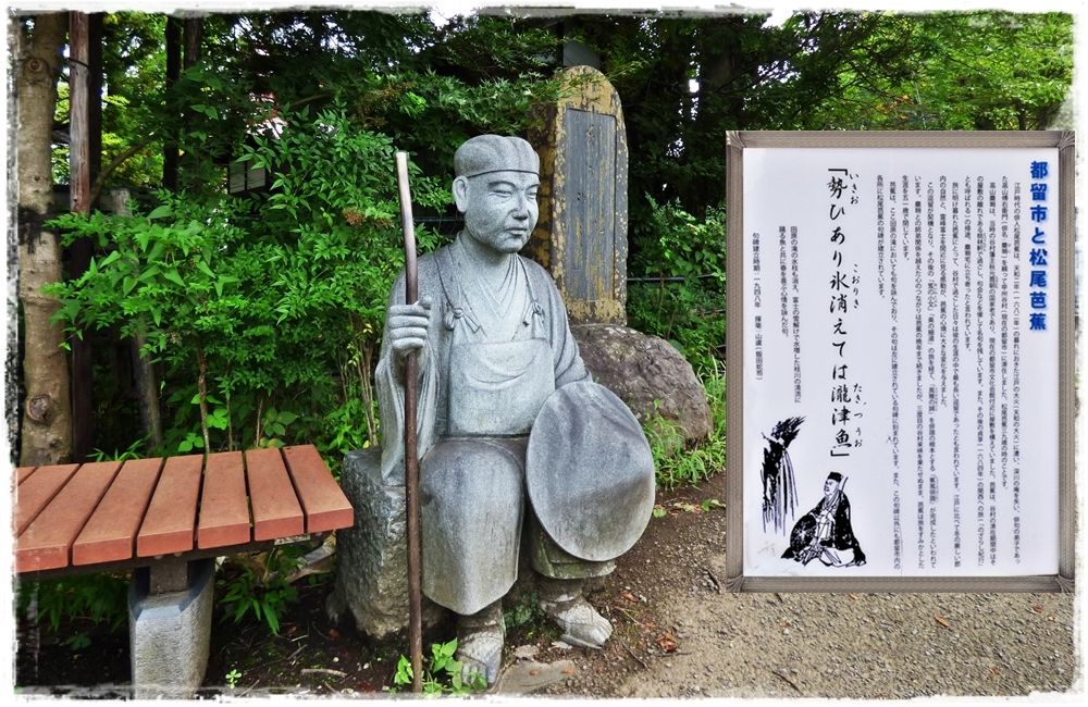 イメージ 8