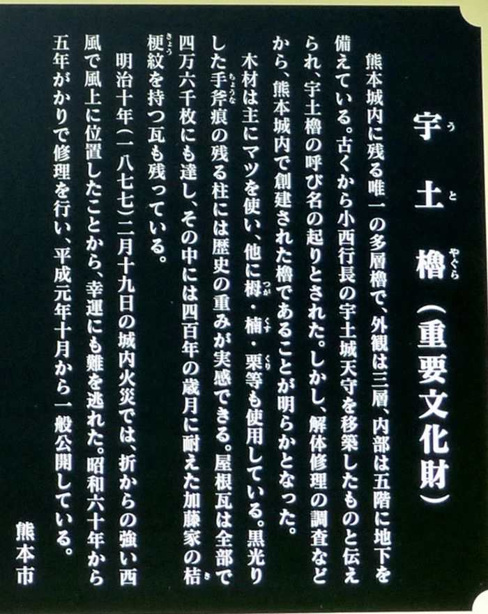 イメージ 12