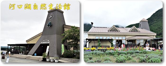 イメージ 7