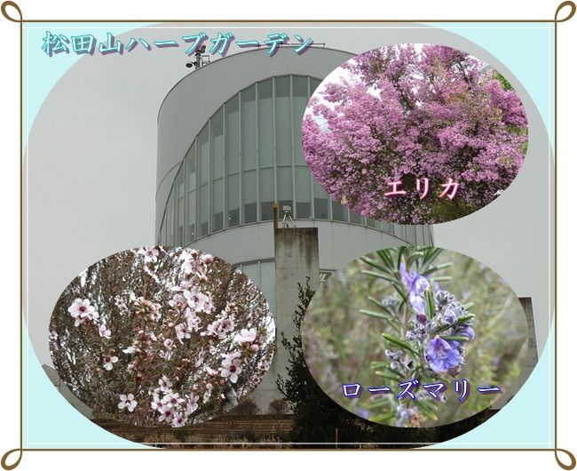 イメージ 9