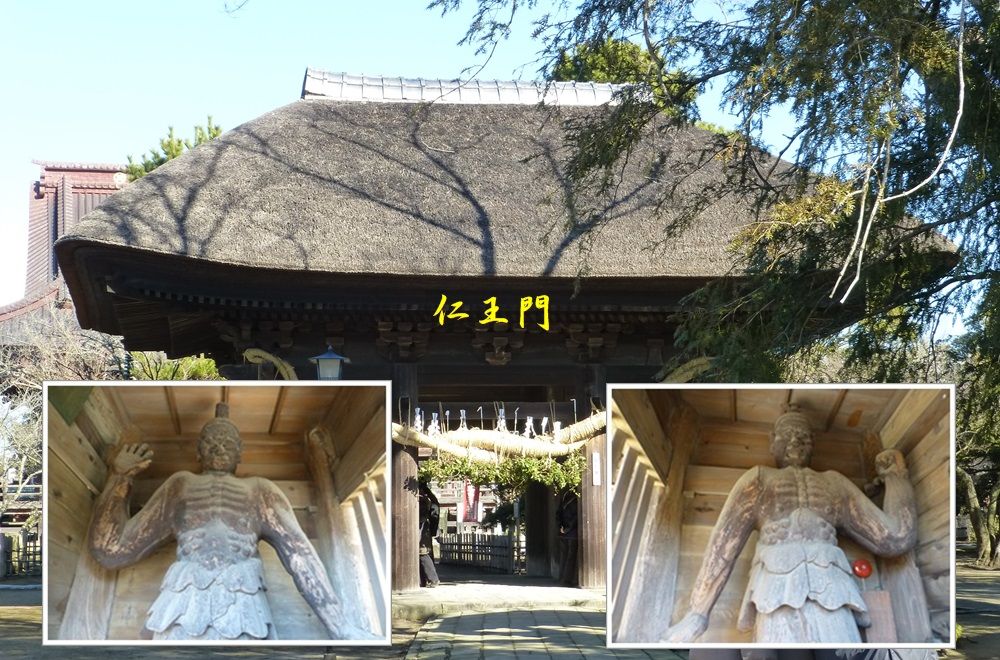 イメージ 7