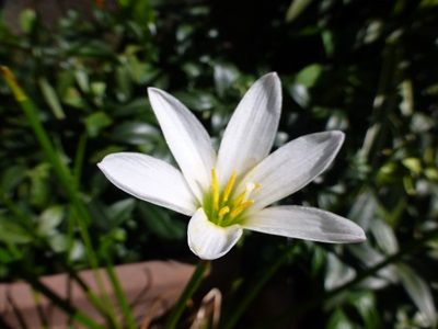 イメージ 5