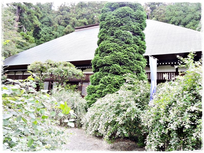 イメージ 12