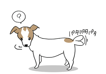$あっけらかん