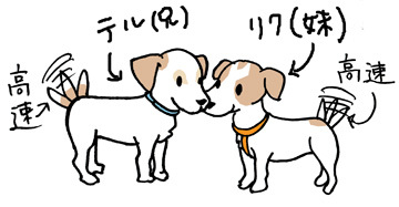$あっけらかん