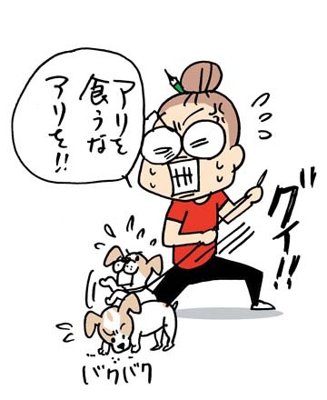$あっけらかん