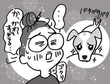 $あっけらかん