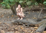 lizard