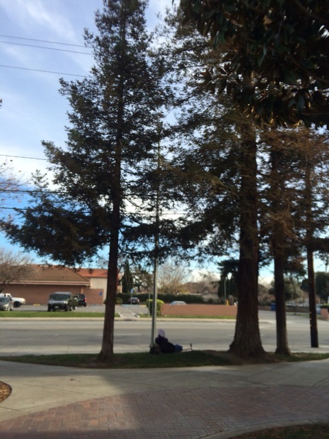 2015-02-12-08-29-47