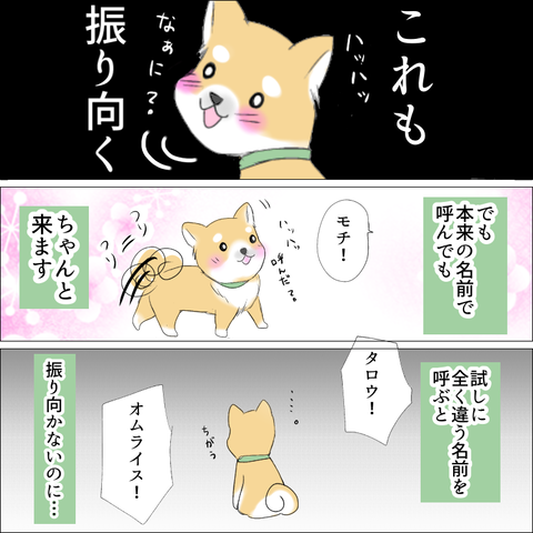 2702FE27-1FCC-4A8F-ADE5-34621510C13F
