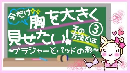 今だけ胸を大きく見せたい その方法とは ブラジャーとパッドの形 ダメ男と私とラブコメディ Powered By ライブドアブログ 今だけ胸を大きく見せたい その方法とは ブラジャーとパッドの形 ダメ男と私とラブコメディ Powered By ライブドアブログ