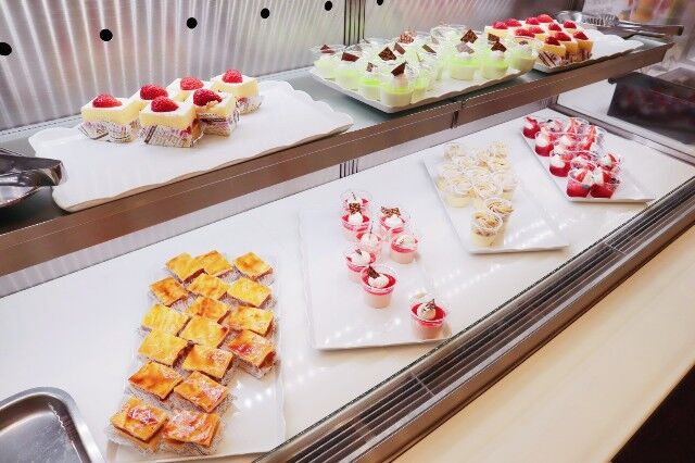 f:id:bashii:20190318185048j:image