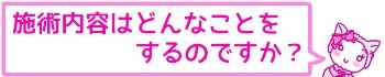f:id:bashii:20190228211118j:plain
