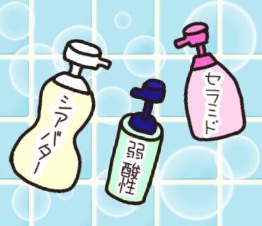 f:id:bashii:20181222164527j:image