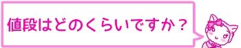 f:id:bashii:20190228210850j:plain