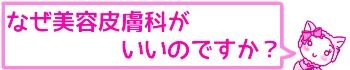 f:id:bashii:20190228212346j:plain