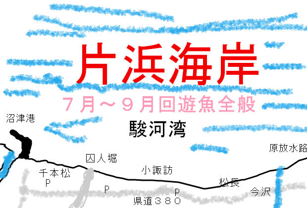 静岡県 片浜海岸 ぷーちゃんのつれづれ日記