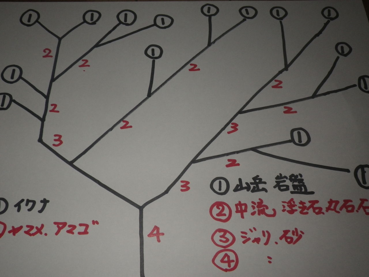 渓流釣り 河川の形といる魚 ぷーちゃんのつれづれ日記