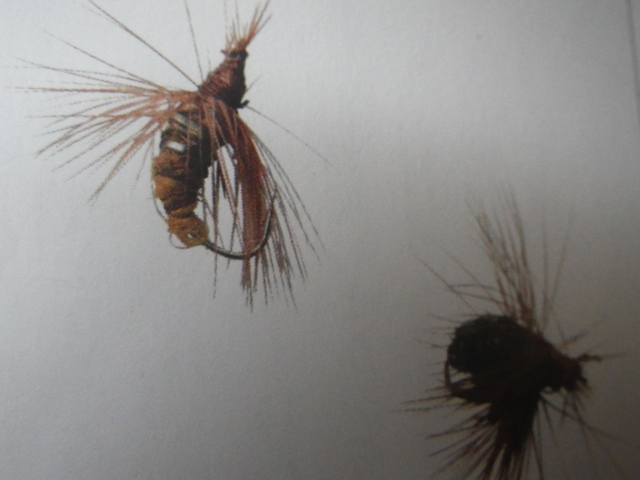 渓流釣り ヤマメ イワナ アマゴ釣り方の種類 ぷーちゃんのつれづれ日記