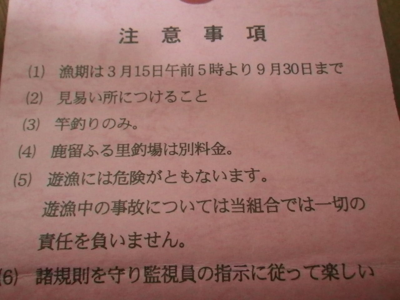 渓流釣り 超大物 山梨県都留市菅野川ヤマメ釣りポイント ぷーちゃんのつれづれ日記 渓流釣り 超大物 山梨県都留市菅野川ヤマメ釣りポイント ぷーちゃんのつれづれ日記