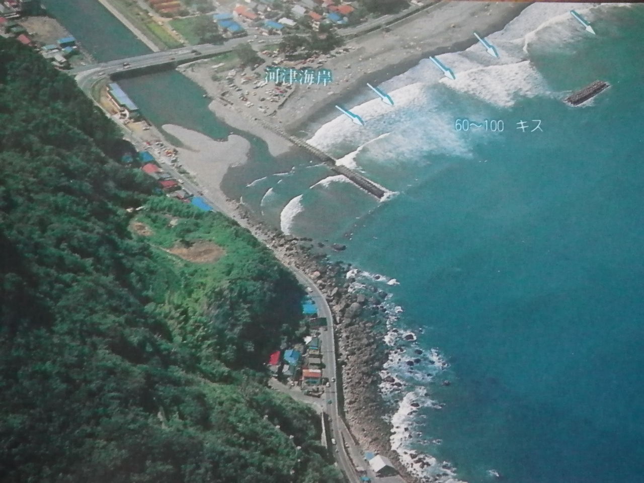 ヒラスズキ回遊ポイント ぷーちゃんのつれづれ日記