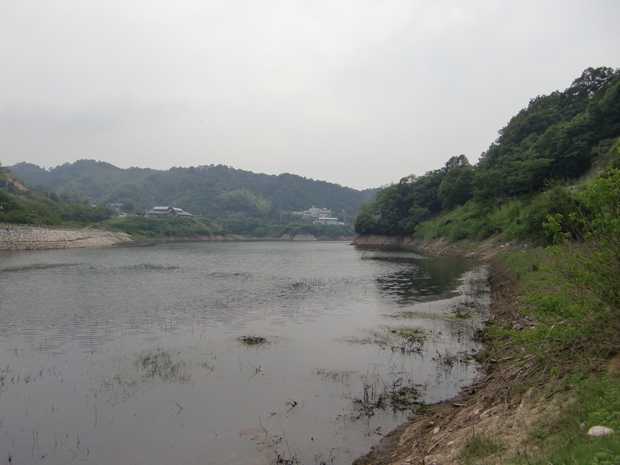 久しぶりに香川県 前山ダムに行って来ました Miya 釣れない Bass釣行記