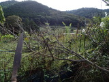 PA080073