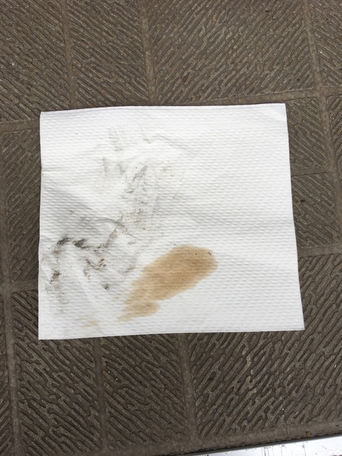 20191124_050651949_iOS