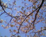 200504151248.jpg