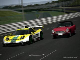 宮ネコ日記 Gt4