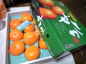 20100218¤»¤È¤«