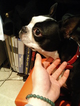 ����ӷ��Ǥ�