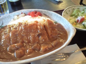 20110622�������