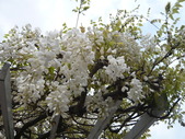 P1050527